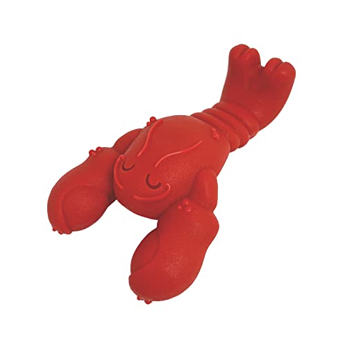 Nylabone Lobster Dog Toy Power Chew – Cute Dog Toys for Aggressive Chewers – with a Funny Twist! Filet Mignon Flavor, Small/Regular